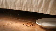 Lenticchie sotto il letto: significato del rito e cosa aspettarsi davvero