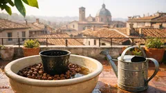Sassi sul fondo del vaso del limone: perché non drenano e cosa fare davvero